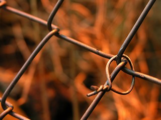 Image showing rusted fence