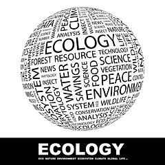 Image showing ECOLOGY.