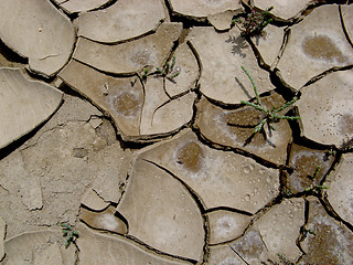 Image showing Cracked ground texture