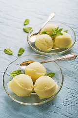 Image showing Sorbets