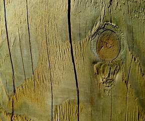 Image showing wood texture