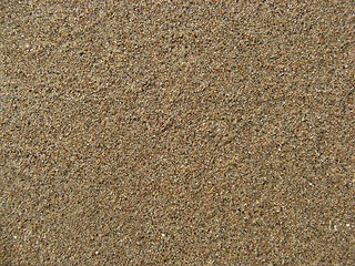 Image showing wet sand texture