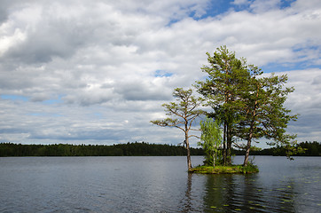 Image showing Sunlit small island