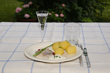 Image showing Swedish midsummer meal