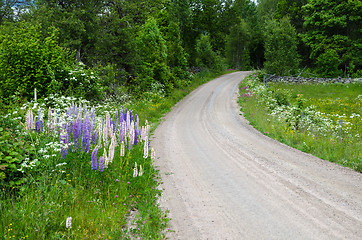 Image showing Summer flowers by a country road