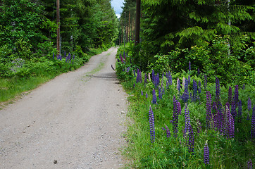 Image showing Colorful country road