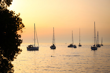 Image showing Anchored sailboats at sunset