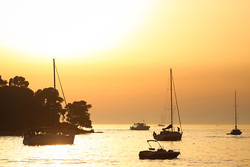 Image showing Sailboats near coast at sunset