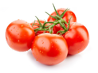 Image showing fresh red tomatoes