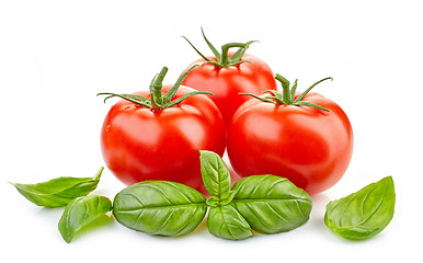 Image showing fresh tomatoes and basil leaves