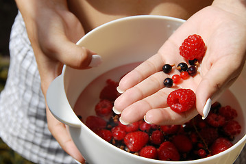 Image showing Holding red raspberries and currants in the hand