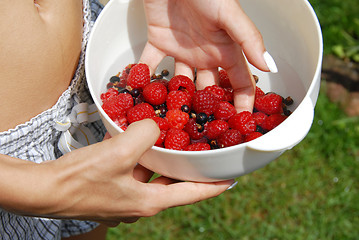 Image showing Holding raspberries and black currants in the hand