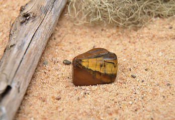 Image showing Tiger?s eye on beach