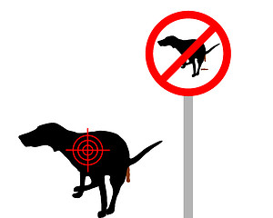 Image showing Aim at dog crapping