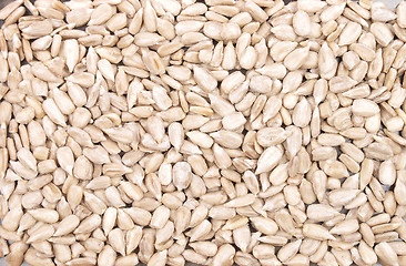 Image showing Sunflower seeds background