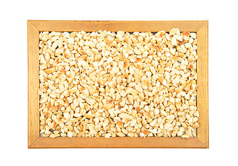 Image showing Minced hazelnuts in frame