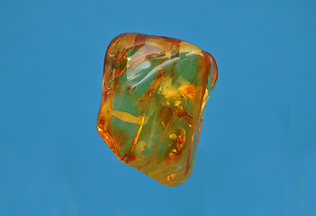 Image showing Amber on blue