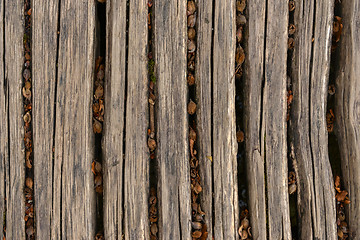 Image showing Closeup photo of wooden floor panels