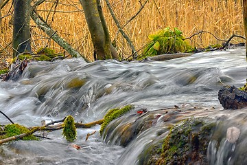 Image showing Fast mountain creek flowing