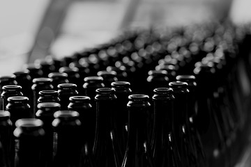 Image showing Many bottles on conveyor belt