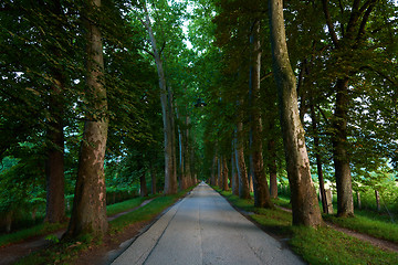 Image showing sunrise in alley