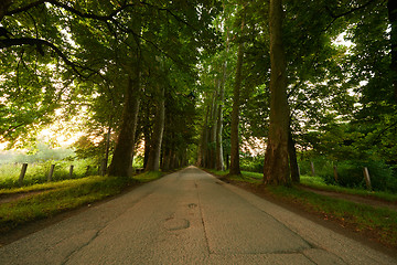 Image showing sunrise in alley