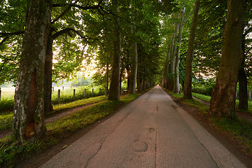 Image showing sunrise in alley