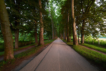 Image showing sunrise in alley