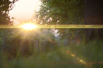 Image showing grass with dew drops