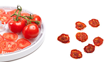 Image showing Raw tomato prepared to dehydrated and dried slices