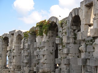 Image showing roman arenas in Arles