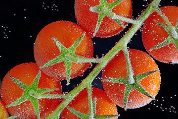 Image showing fresh tomatoes in water