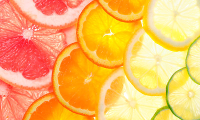 Image showing Sliced citrus fruits 