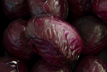 Image showing red cabbage