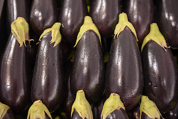Image showing Eggplant aubergine brinjal