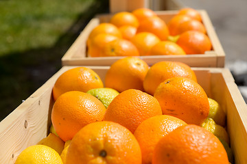 Image showing Oranges in wooden crates