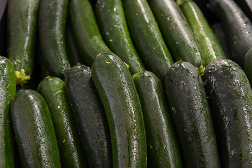 Image showing green zucchini