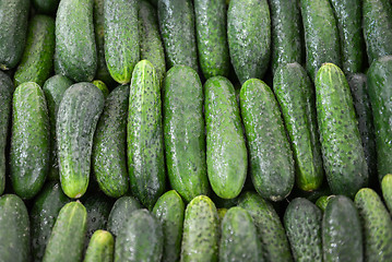 Image showing green cucumbers