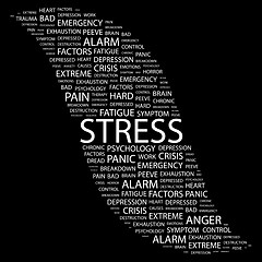 Image showing STRESS