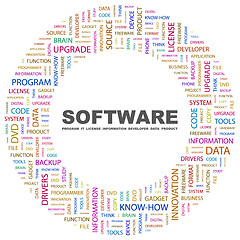 Image showing SOFTWARE