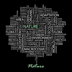 Image showing NATURE.