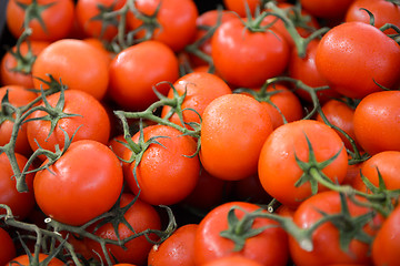 Image showing red tomatoes