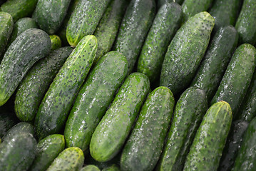 Image showing green cucumbers