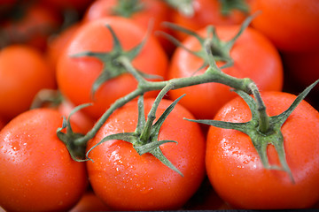 Image showing red tomatoes