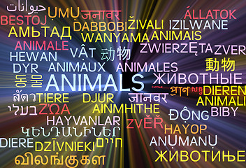 Image showing Animals multilanguage wordcloud background concept glowing