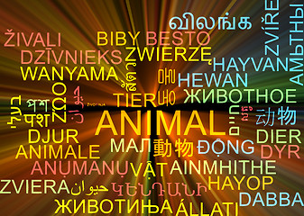 Image showing animal multilanguage wordcloud background concept glowing