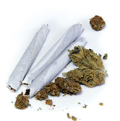 Image showing three joints and pot buds