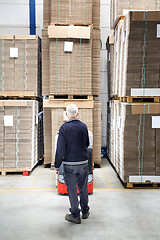 Image showing Worker Standing In Front Of Stockpiles