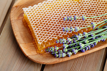 Image showing honeycomb