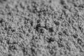 Image showing Calcium powder